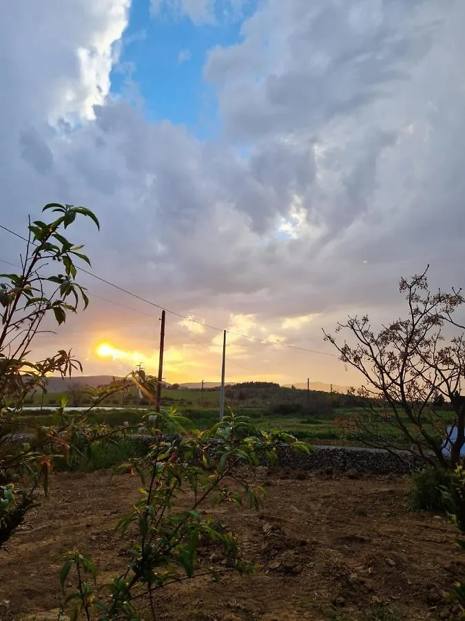 Villa Anonima Agricola Orbetello Bauernhof