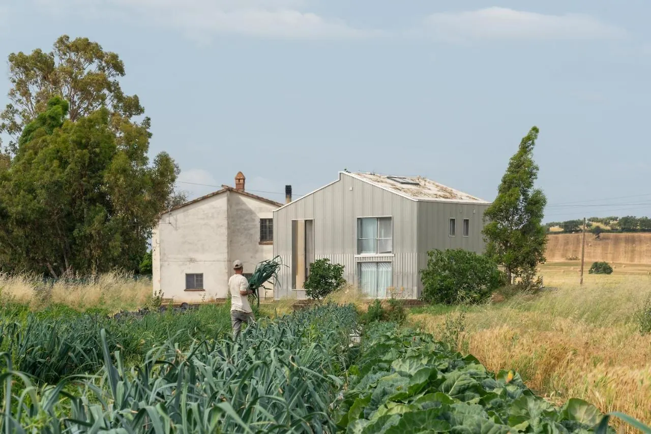 Villa Anonima Agricola Orbetello Bauernhof